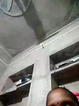 Loomaraj webcam