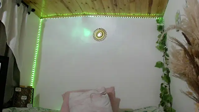 Donniia webcam