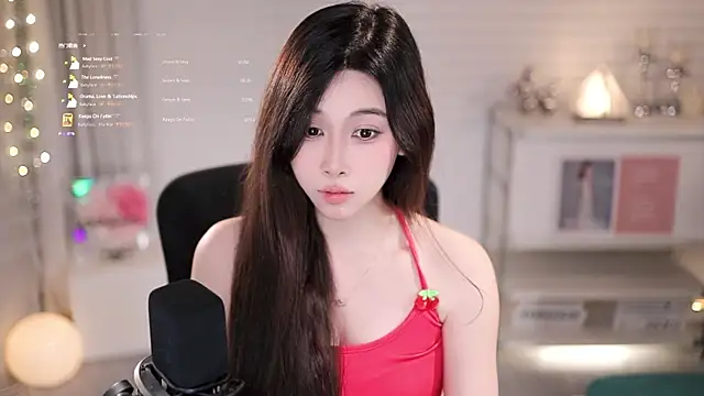 SleepArtist webcam