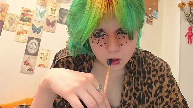LittleKittenStar webcam