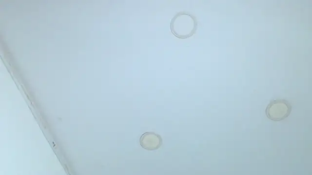 Emma_hassani webcam