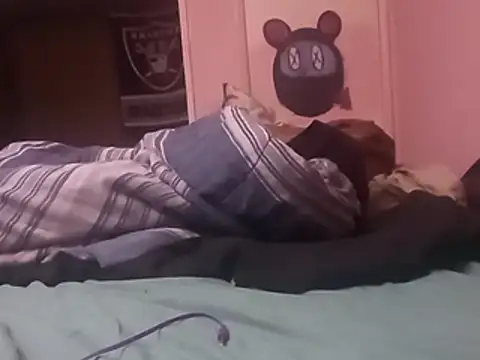 Blkstylion webcam