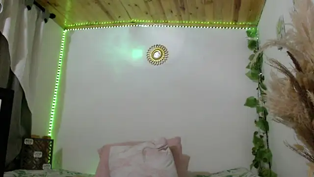 Donniia webcam