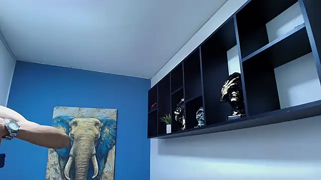 langelo_el webcam