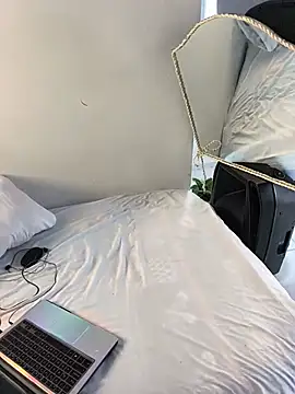 Portandome webcam