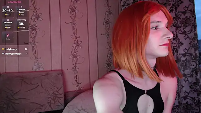 kisasuka webcam