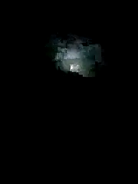 rajsinghfucking webcam