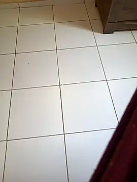 Fpnunes webcam