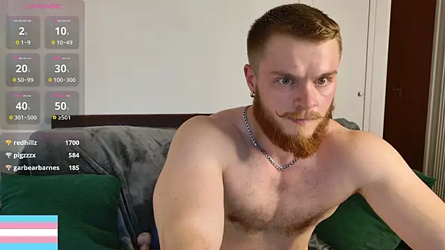 VictorTransMan webcam