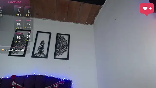 mafe_pym webcam