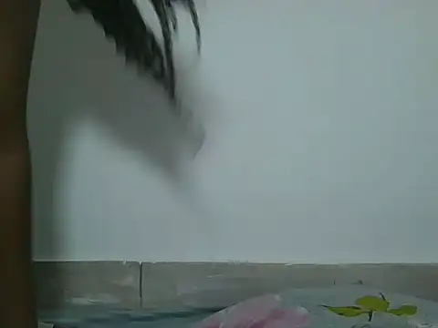 sexyjanett webcam