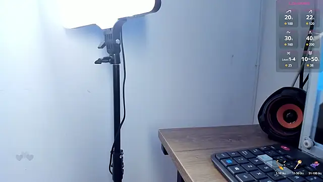 LittleParker webcam