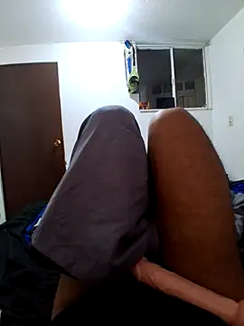 prototipoA45 webcam