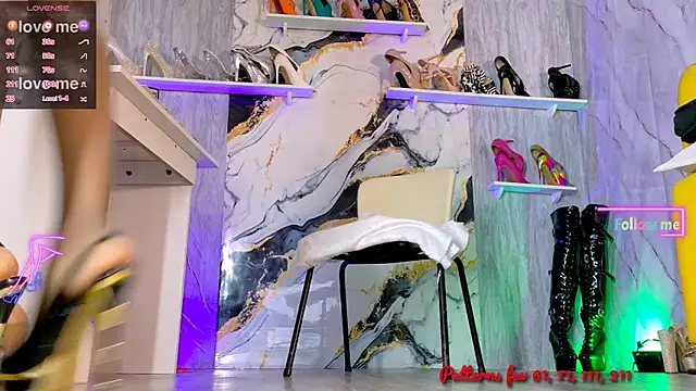 didinewshannell webcam