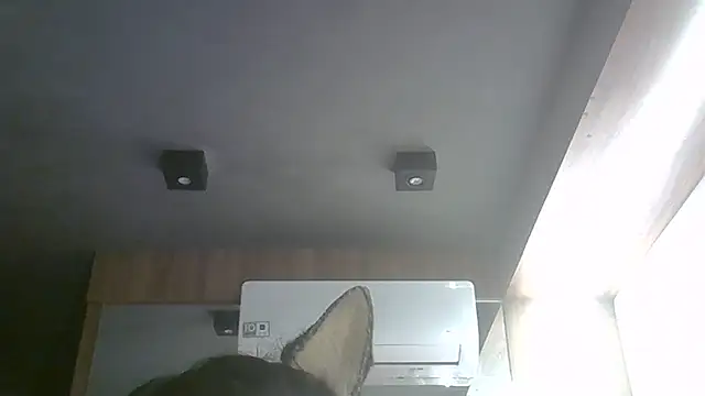 SkinnyKitten webcam