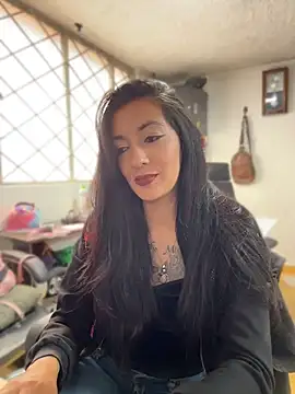SALOME_KORLAND webcam