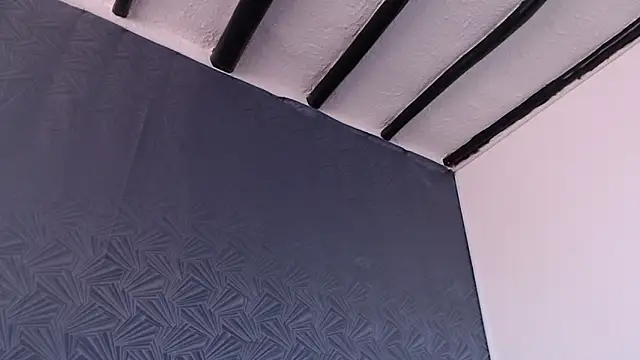 Freyja_eter webcam