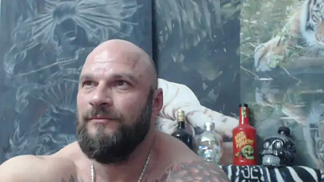 viking_30 webcam
