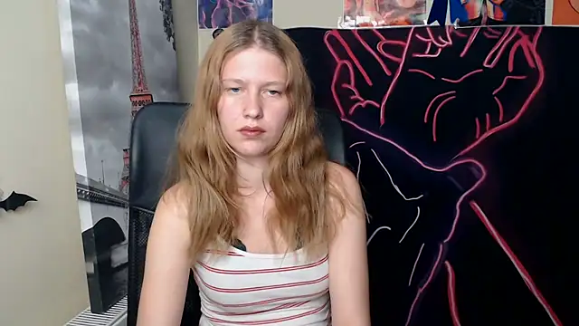 StellaCRL webcam
