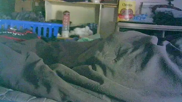 _P3RKY_IMMORTAL3_FIR3_ webcam