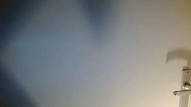 Blauwe_Vinkje webcam