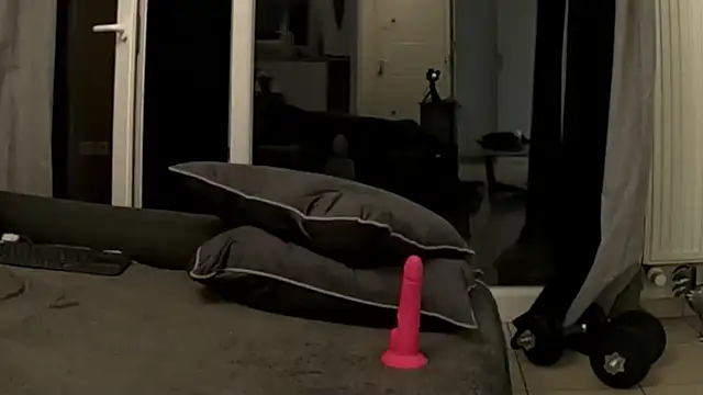 ApollonFit_x webcam