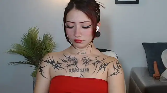 Evanss_lx webcam