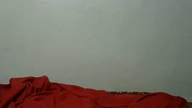 Rerpuss webcam