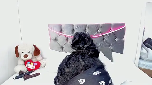 randyboom webcam