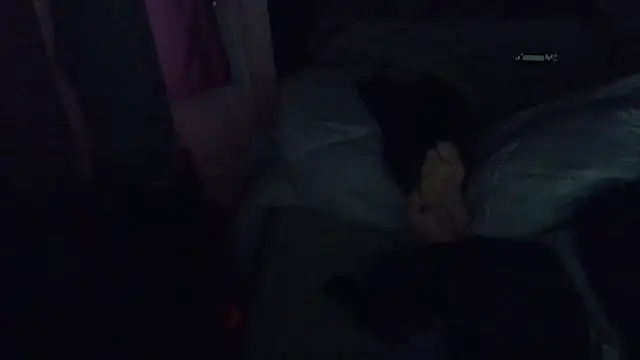 feeelipe2007 webcam