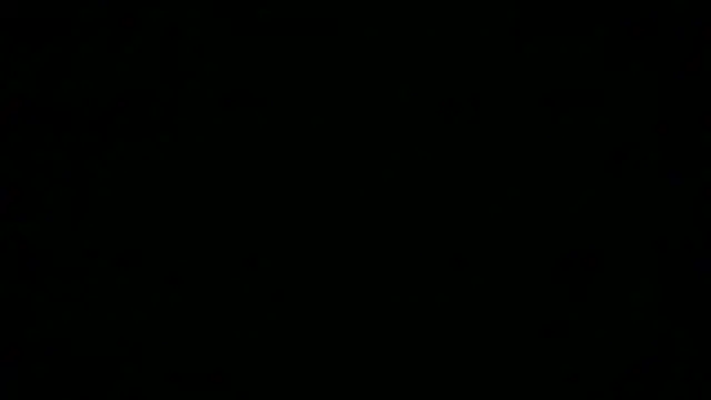 SamuelTal webcam