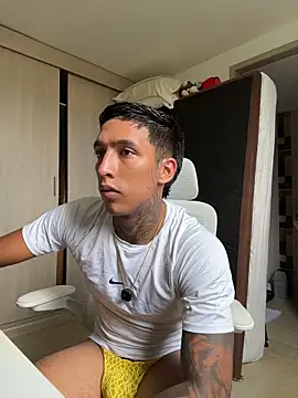 sendfer webcam