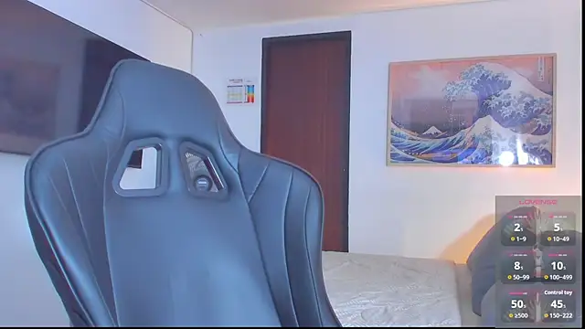 RJBarto webcam