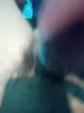 Vandicrioot webcam