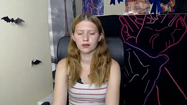 StellaCRL webcam