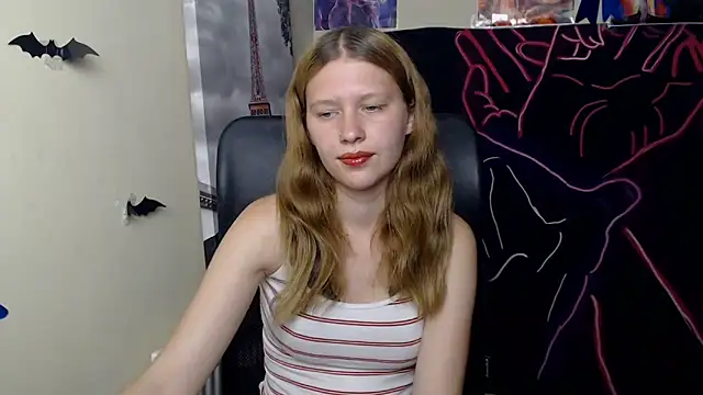 StellaCRL webcam