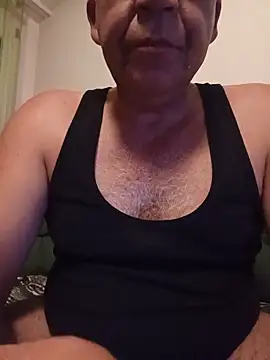 salvai webcam