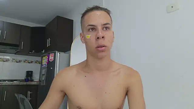 grey___27 webcam