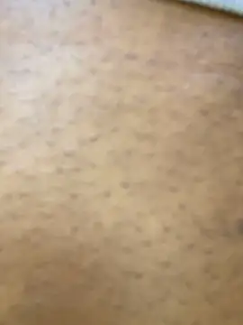 Littlebunny33 webcam