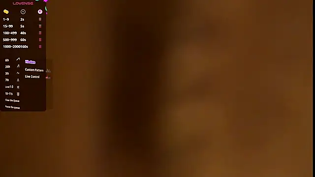 Aidasina webcam