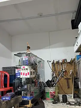 Paul22cm- webcam