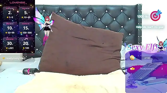 AnySugar webcam
