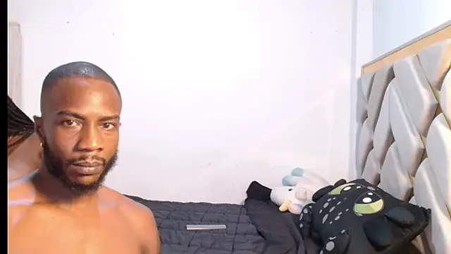 laaspri webcam