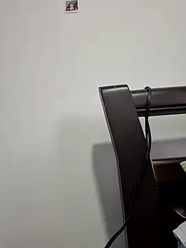 IrisBound webcam