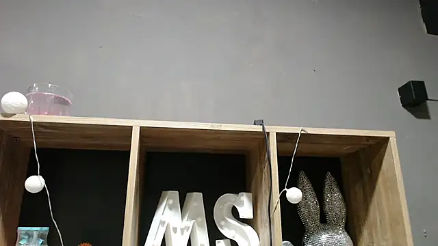 Mickyta webcam