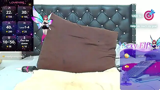 AnySugar webcam