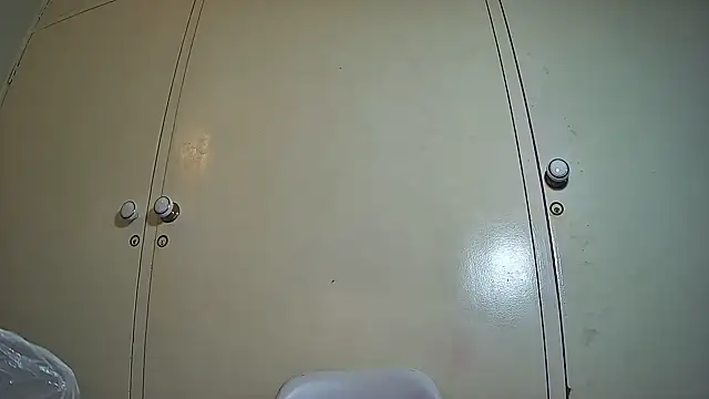 embarbianc webcam