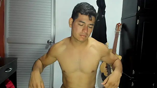 VincentSavage webcam