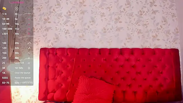 camii_raux webcam