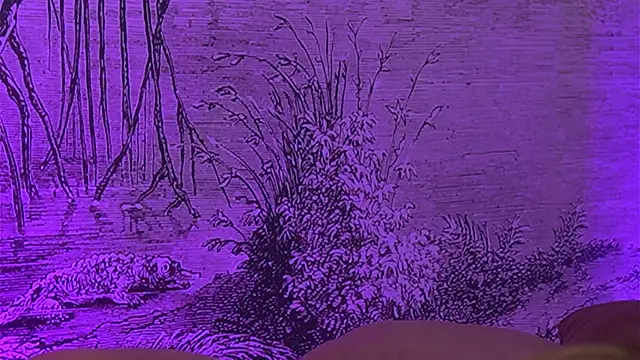 YamiraKim live cam